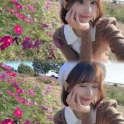 ヒメ日記 2025/10/30 16:01 投稿 新人・ゆき☆不思議なくらいスキ シャブール