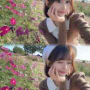 ヒメ日記 2025/11/02 16:30 投稿 新人・ゆき☆不思議なくらいスキ シャブール