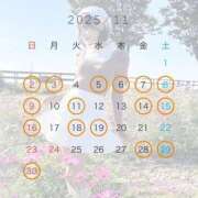 ヒメ日記 2025/11/04 14:22 投稿 新人・ゆき☆不思議なくらいスキ シャブール