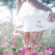 ヒメ日記 2025/11/08 15:35 投稿 新人・ゆき☆不思議なくらいスキ シャブール