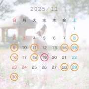 ヒメ日記 2025/11/11 17:02 投稿 新人・ゆき☆不思議なくらいスキ シャブール