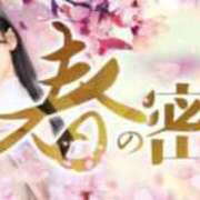 ヒメ日記 2026/03/06 21:45 投稿 新人・ゆき☆不思議なくらいスキ シャブール
