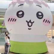 ヒメ日記 2026/09/10 20:46 投稿 ゆの LEVEL1