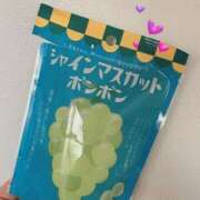 ヒメ日記 2025/02/25 17:46 投稿 ねね【9/12デビュー】 Aroma de TOKYO 三河店（岡崎・豊田・安城）