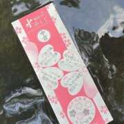 ヒメ日記 2026/01/17 11:56 投稿 ねね【9/12デビュー】 Aroma de TOKYO 三河店（岡崎・豊田・安城）