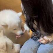 ヒメ日記 2026/03/01 13:57 投稿 夏菜/なつな Platinum Legend(プラチナムレジェンド)