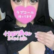 ヒメ日記 2025/01/02 20:19 投稿 新倉 BBW（ビッグビューティフルウーマン）