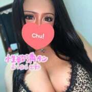 ヒメ日記 2025/04/24 18:19 投稿 新倉 BBW（ビッグビューティフルウーマン）