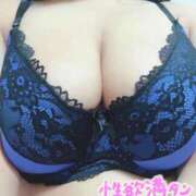 ヒメ日記 2025/04/25 17:09 投稿 新倉 BBW（ビッグビューティフルウーマン）