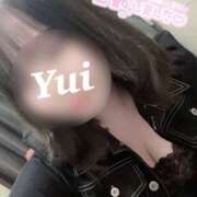 ヒメ日記 2024/12/28 14:08 投稿 ゆい ごほうびSPA京都店