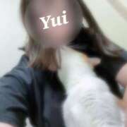 ヒメ日記 2025/01/08 08:18 投稿 ゆい ごほうびSPA京都店