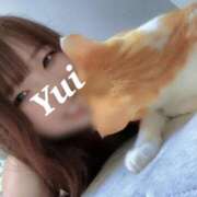 ヒメ日記 2025/02/08 08:48 投稿 ゆい ごほうびSPA京都店