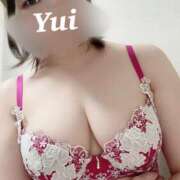 ヒメ日記 2025/02/26 14:08 投稿 ゆい ごほうびSPA京都店