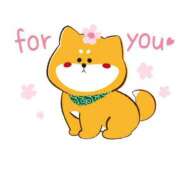 ヒメ日記 2025/04/03 22:02 投稿 一条【いちじょう】 丸妻 西船橋店