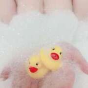 ヒメ日記 2025/02/26 14:15 投稿 なな 奥様はエンジェル　相模原店