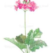 ヒメ日記 2025/04/19 18:25 投稿 かいり 密着指導！バカンス学園 尼崎校