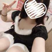 ヒメ日記 2024/12/26 00:14 投稿 なゆ ルネッサンス