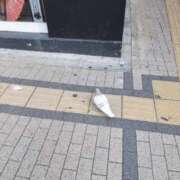 ヒメ日記 2025/01/20 08:53 投稿 なゆ ルネッサンス