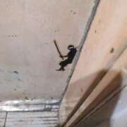 ヒメ日記 2025/02/23 12:07 投稿 なゆ ルネッサンス