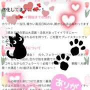 ヒメ日記 2025/03/24 00:11 投稿 なゆ ルネッサンス