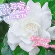 ゆみ お久しぶりの……🤭 川越ぷよステーション