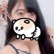 ヒメ日記 2026/01/31 11:30 投稿 長門有希 鬼イカセてくれないドス◯ベお姉さん