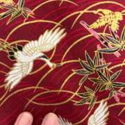 ヒメ日記 2025/01/04 15:04 投稿 すいれん ビギナーズ神戸