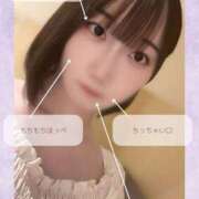 ヒメ日記 2025/03/31 07:01 投稿 すいれん ビギナーズ神戸