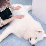 ヒメ日記 2025/10/19 07:09 投稿 すいれん ビギナーズ神戸