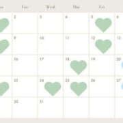 ヒメ日記 2025/11/25 07:01 投稿 すいれん ビギナーズ神戸