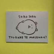 ヒメ日記 2026/02/11 07:07 投稿 すいれん ビギナーズ神戸