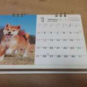 ヒメ日記 2025/12/29 22:26 投稿 サフランのマユカ C級グル女　鶯谷店