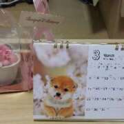 ヒメ日記 2026/03/05 10:29 投稿 サフランのマユカ C級グル女　鶯谷店