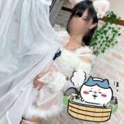 ヒメ日記 2025/04/27 20:04 投稿 幸村ハルヒ Lumière-ルミエール-