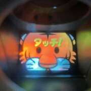 ヒメ日記 2026/03/13 17:46 投稿 幸村ハルヒ Lumière-ルミエール-