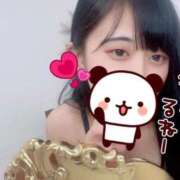 ヒメ日記 2026/03/25 11:01 投稿 幸村ハルヒ Lumière-ルミエール-