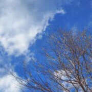 ヒメ日記 2026/01/29 14:17 投稿 りほ バッドカンパニー水戸