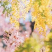 りほ こんばんは♡ バッドカンパニー水戸