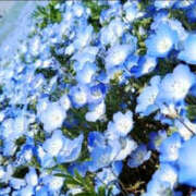 ヒメ日記 2026/04/24 09:22 投稿 りほ バッドカンパニー水戸