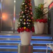 ヒメ日記 2024/12/23 09:09 投稿 とうか ウルトラハピネス