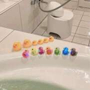 ヒメ日記 2025/04/20 09:20 投稿 とうか ウルトラハピネス