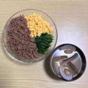 ヒメ日記 2025/04/27 03:09 投稿 とうか ウルトラハピネス