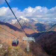 ヒメ日記 2025/11/13 12:49 投稿 とうか ウルトラハピネス