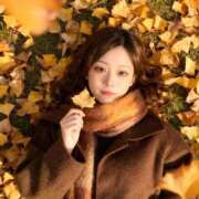 ヒメ日記 2025/11/23 18:29 投稿 とうか ウルトラハピネス