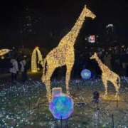 ヒメ日記 2025/01/04 00:13 投稿 萌々香(ももか) 堺・南大阪泡洗体ハイブリッドエステ