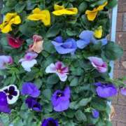 ヒメ日記 2024/12/18 21:07 投稿 天海佑梨 プレジデントハウス