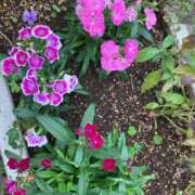 ヒメ日記 2025/01/04 17:26 投稿 天海佑梨 プレジデントハウス