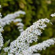 ヒメ日記 2025/01/19 07:31 投稿 天海佑梨 プレジデントハウス