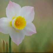 ヒメ日記 2025/01/20 10:50 投稿 天海佑梨 プレジデントハウス