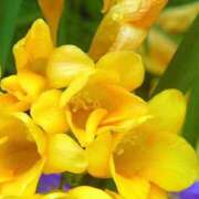 ヒメ日記 2025/01/21 11:51 投稿 天海佑梨 プレジデントハウス